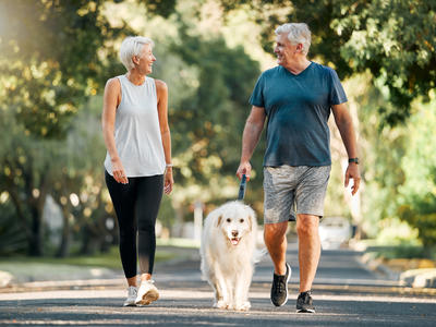 An older man and woman walking a dog.